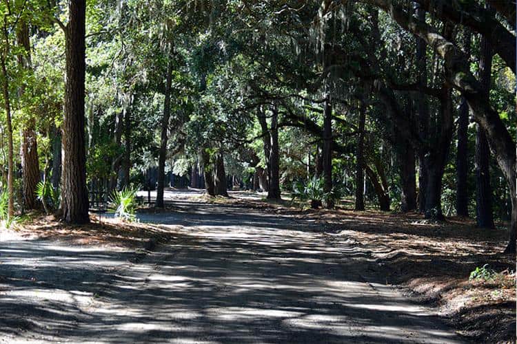 Sea Pines Forest Preserve