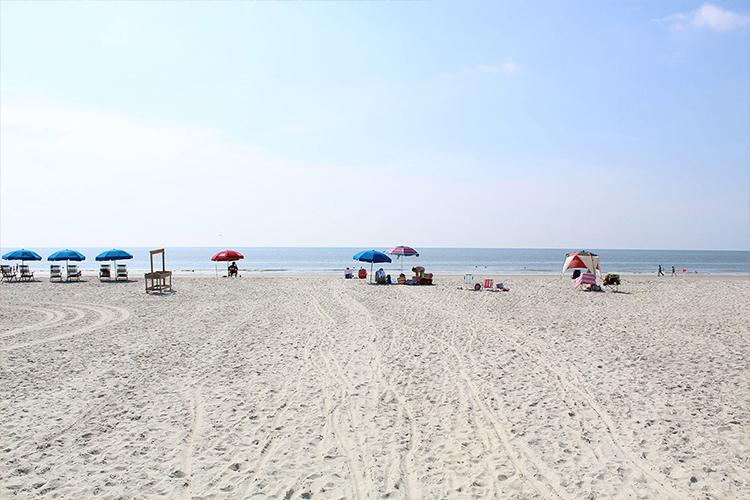 Burkes Beach