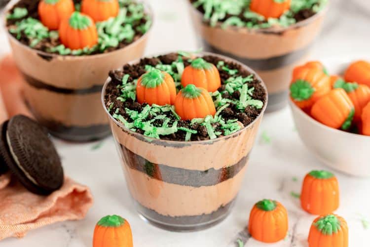 Pumpkin Patch Dirt Cups