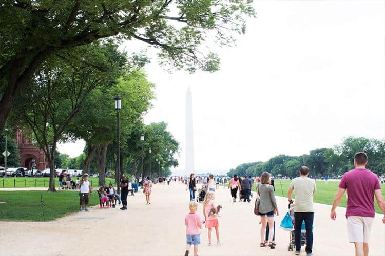 Types Of Strollers That Are Available For Rent