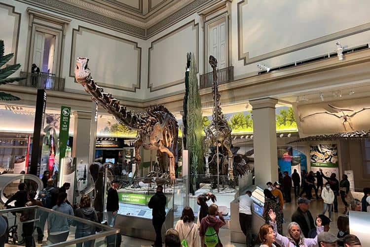 Tips For Stroller-Friendly Sightseeing In Washington, Dc