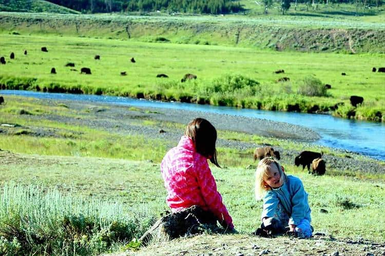 Adventure #2: Wildlife Watching