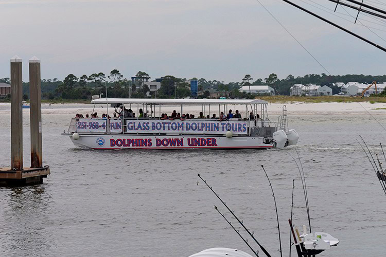 Things To Do With Kids: Orange Beach To Fort Morgan