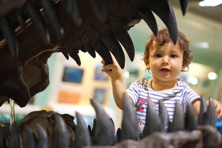 1. The Children'S Museum Of Indianapolis: Curiosity Takes The Lead