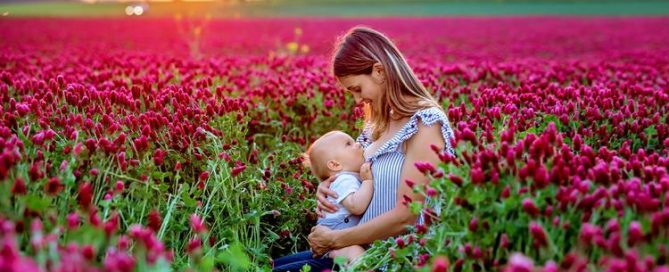 breastfeeding nutrition