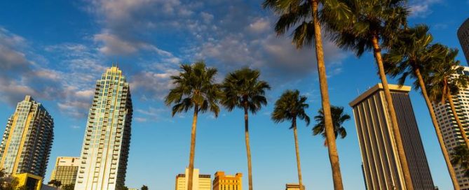 tampa travel