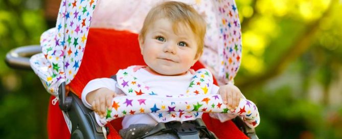 disneyland stroller
