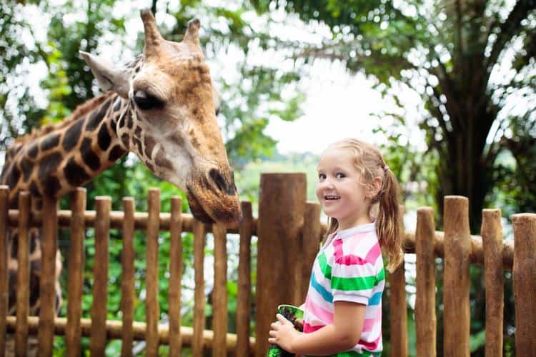 Loews Coronado Bay Resort