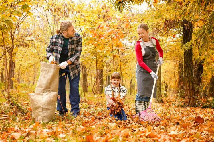 fall cleaning checklist