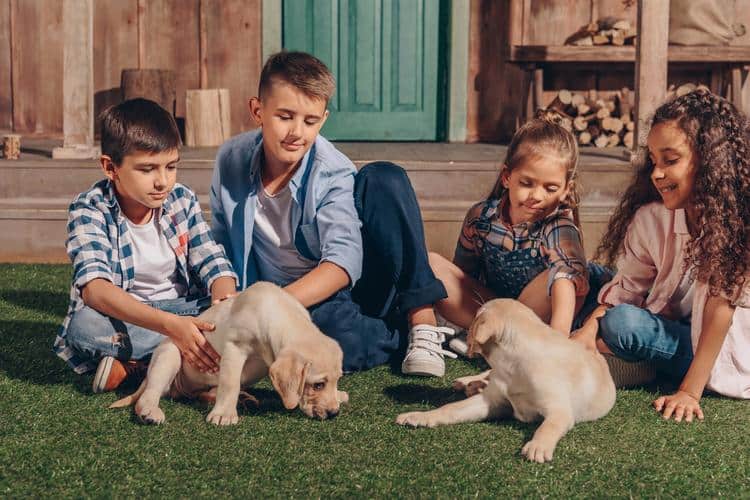 pets for small children