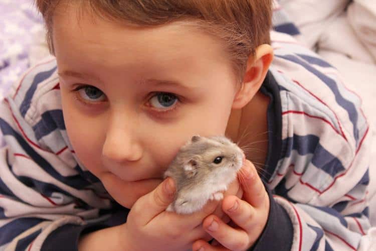 pets for small children