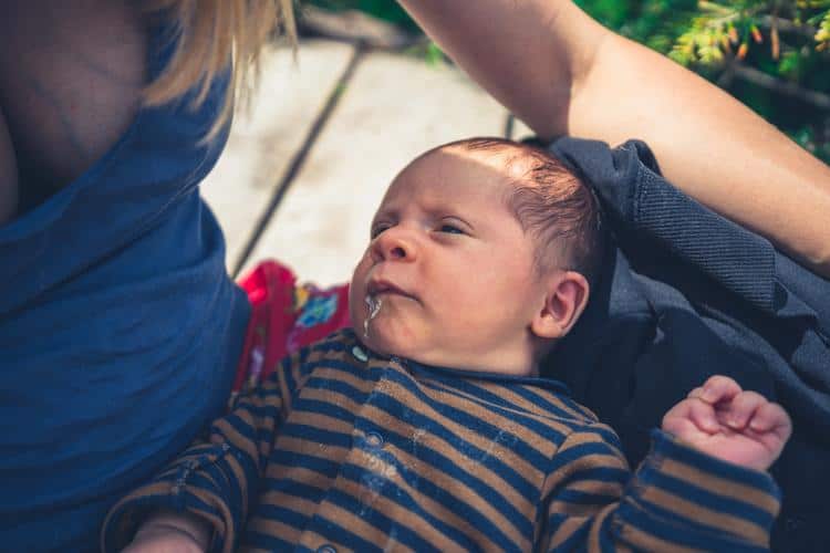 car vomit cleaning service