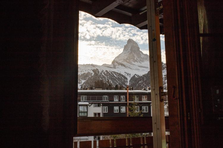 pet friendly resorts