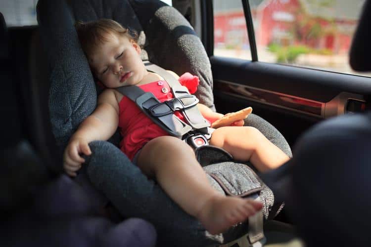 avis car seat rental and hertz car seat rental