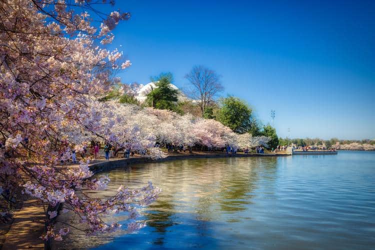 best places to travel with an infant