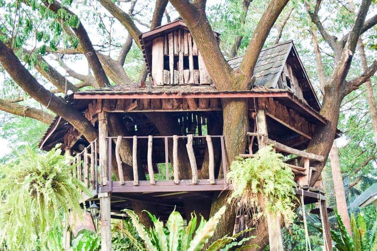 tree house rentals