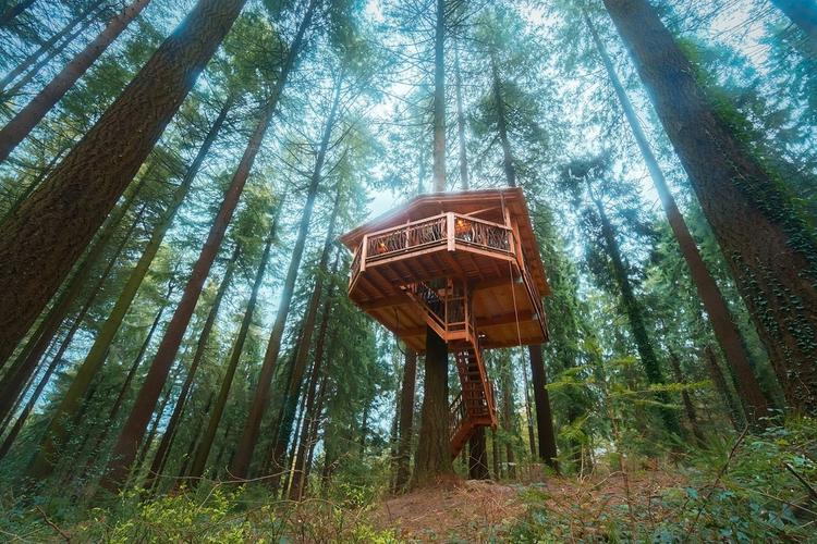 tree house rentals