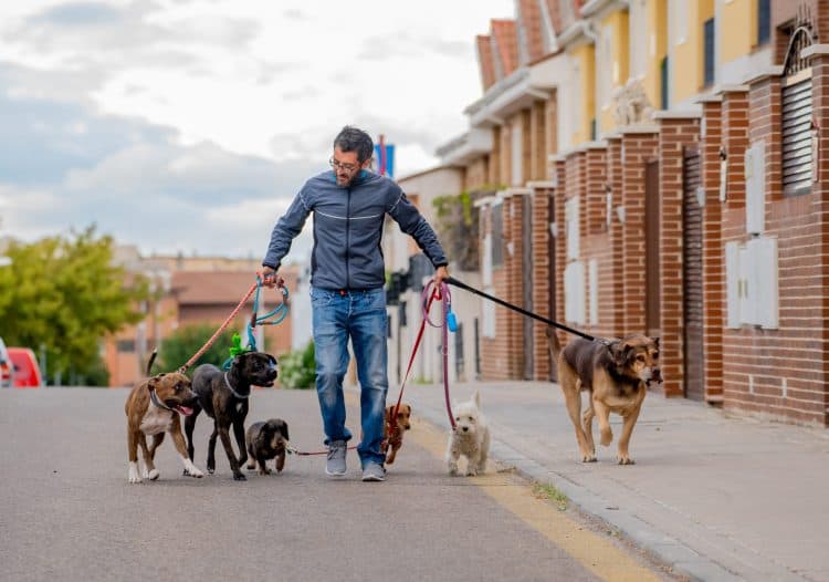 side hustles for retirees