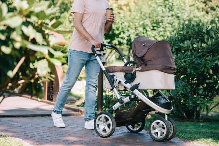 Animal Kingdom Stroller Rental