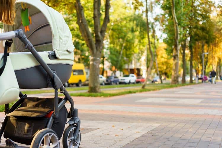 Animal Kingdom Stroller Rental