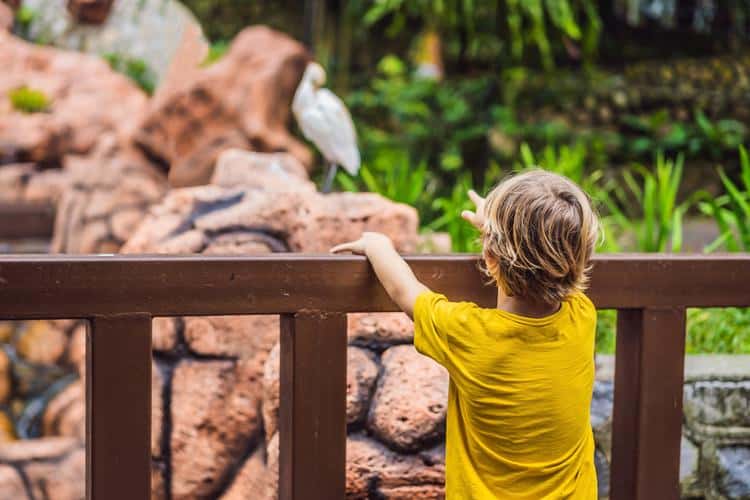 Corpus Christi Travel