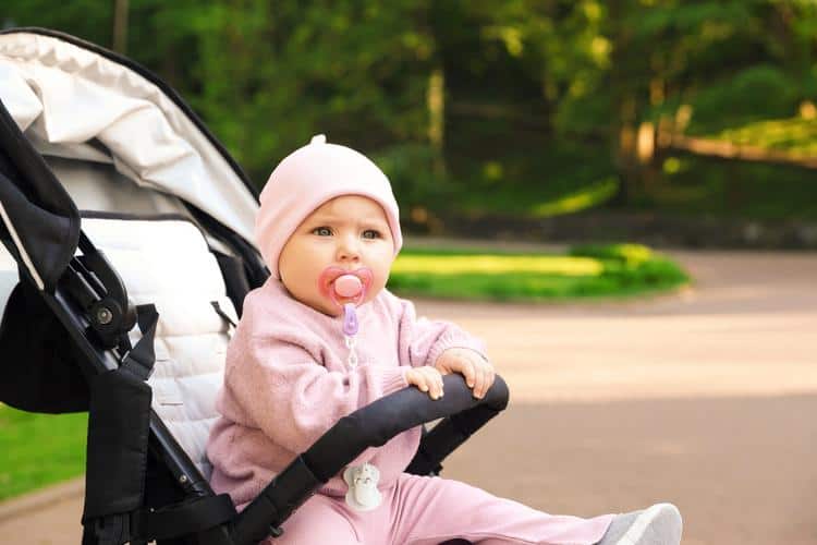 Luna Park Stroller Rental