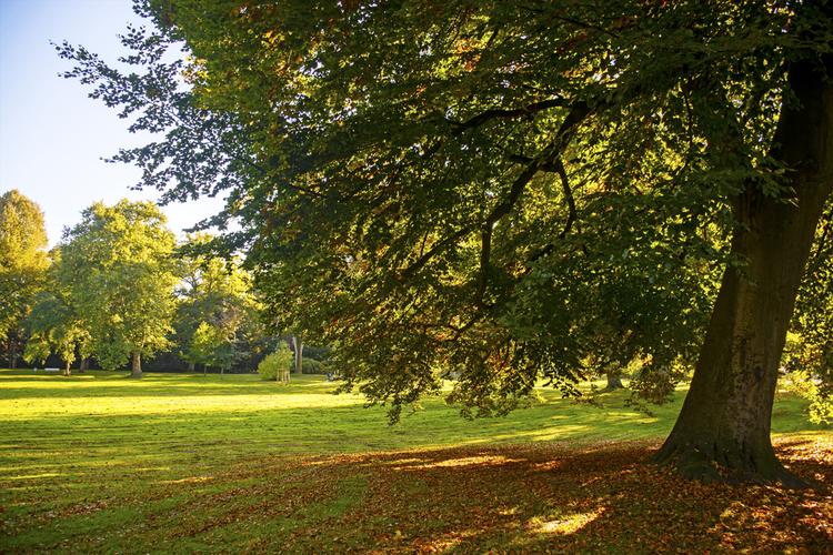 Hyde Park