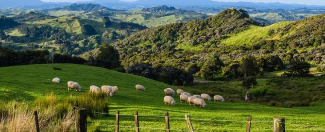 New Zealand farms