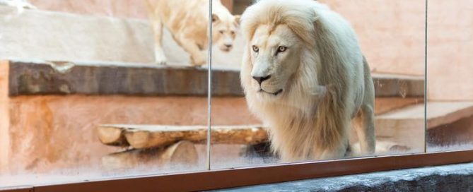 Taronga Zoo