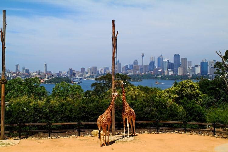 Taronga Zoo