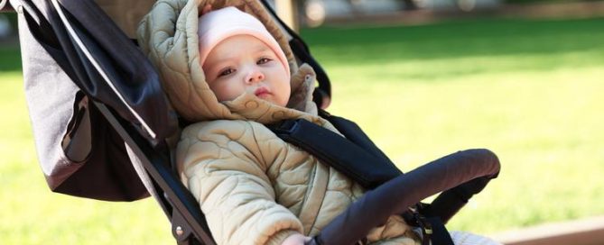 Renting a Stroller Wagon