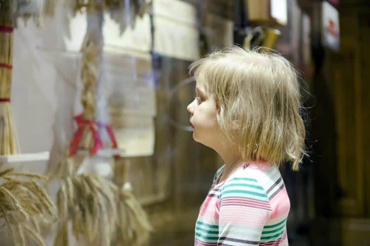 museums in new zealand