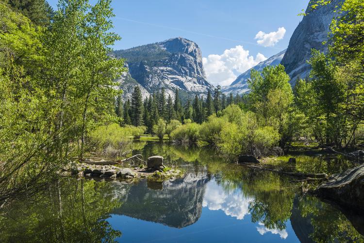 Yosemite family adventures