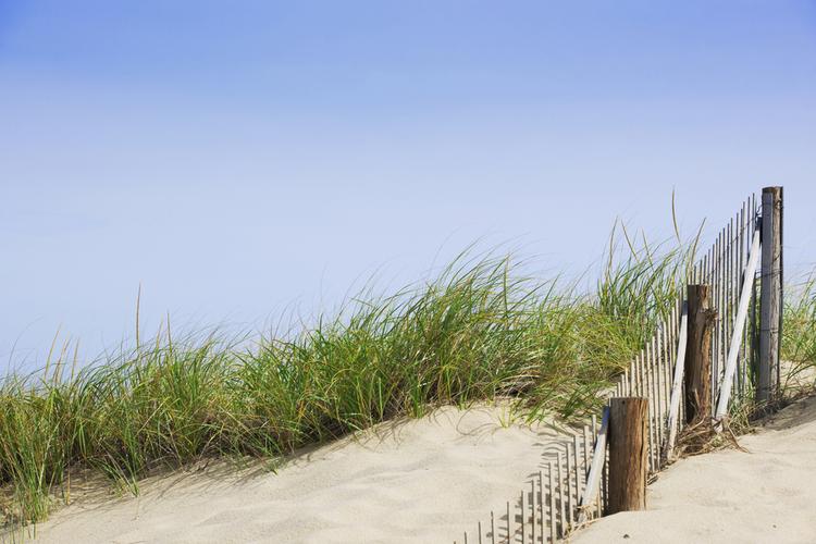 Cape Cod family vacation