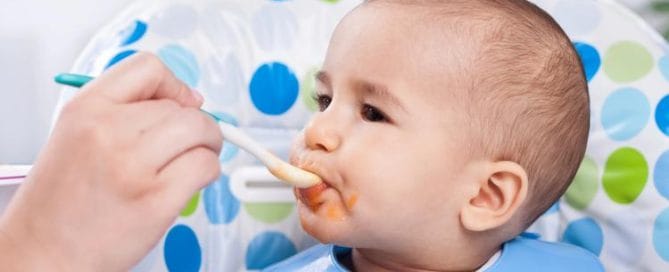 Homemade baby food on the go