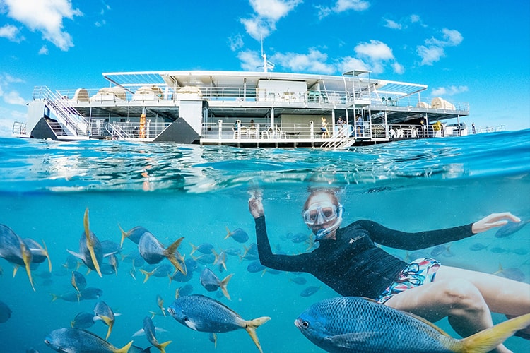 Family Fun On Whitsundays Cruises From Airlie Beach 1 Whitsundays Cruises From Airlie Beach