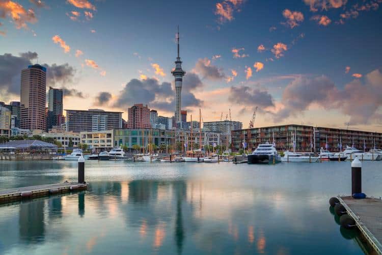 auckland shore excursions