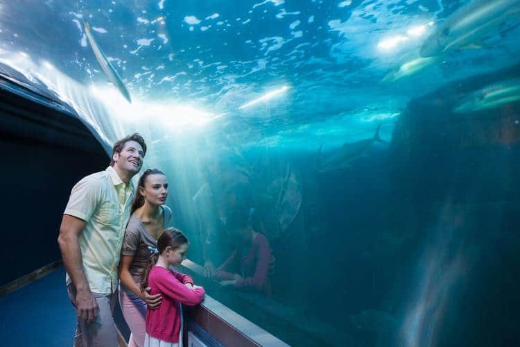 Cancún family vacations