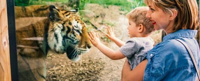 el Zoológico de San Diego con Niños