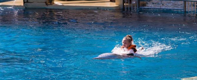 Los mejores momentos para visitar Orlando