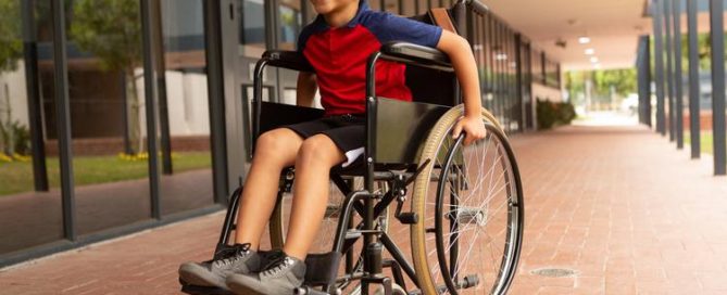 Disney World Disability Access Service