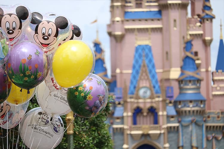 Accessibility And Convenience: Disability Access Service At Disney World 1 Disney World Disability Access Service