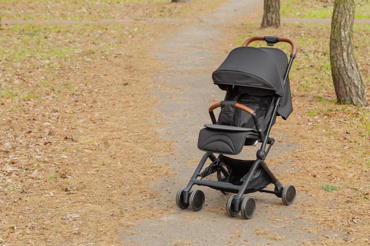 best travel strollers