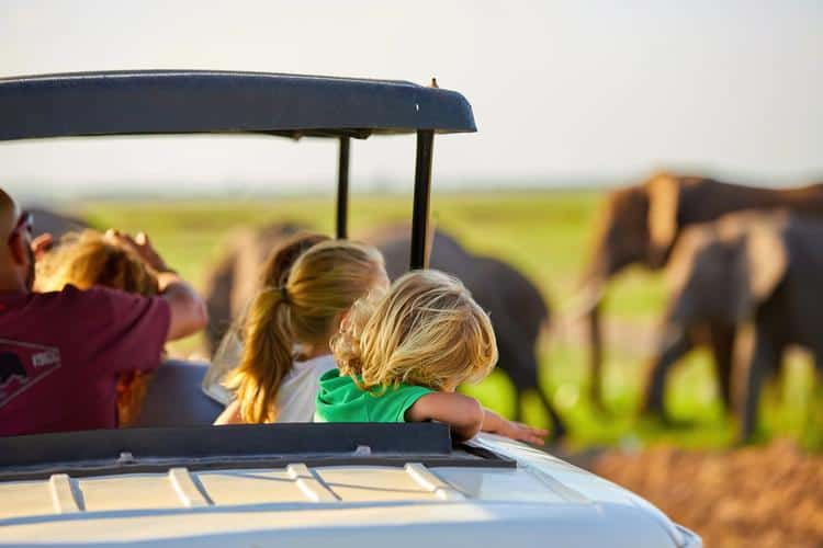 Orlando wildlife attractions