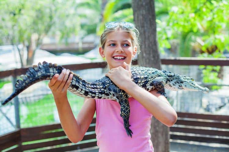 Orlando wildlife attractions