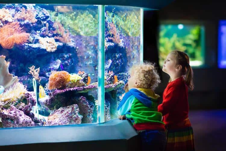 kid-friendly things to do in denver