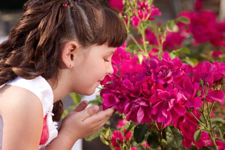 kid-friendly things to do in denver