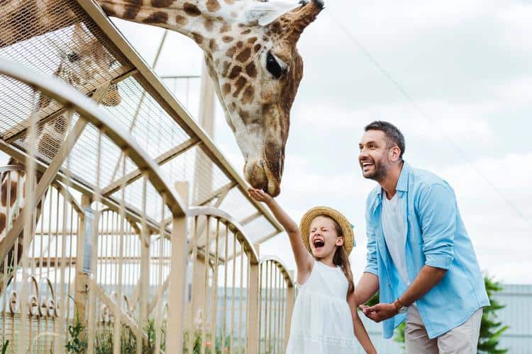 kid-friendly things to do in denver