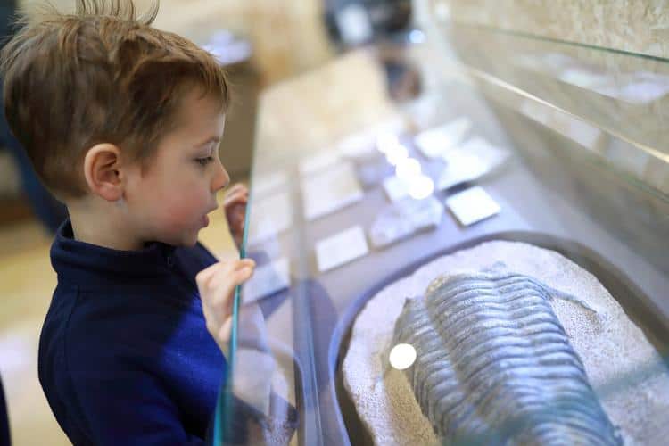 kid’s activities in Los Angeles,kids activities in los angeles
