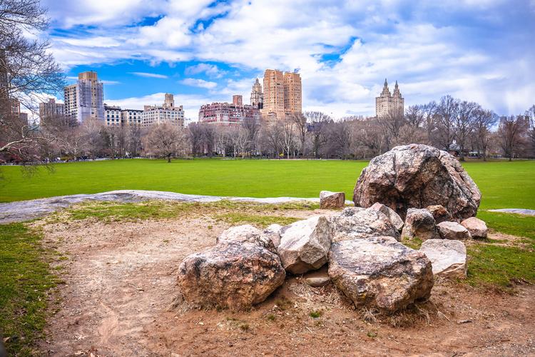 central park children's activities